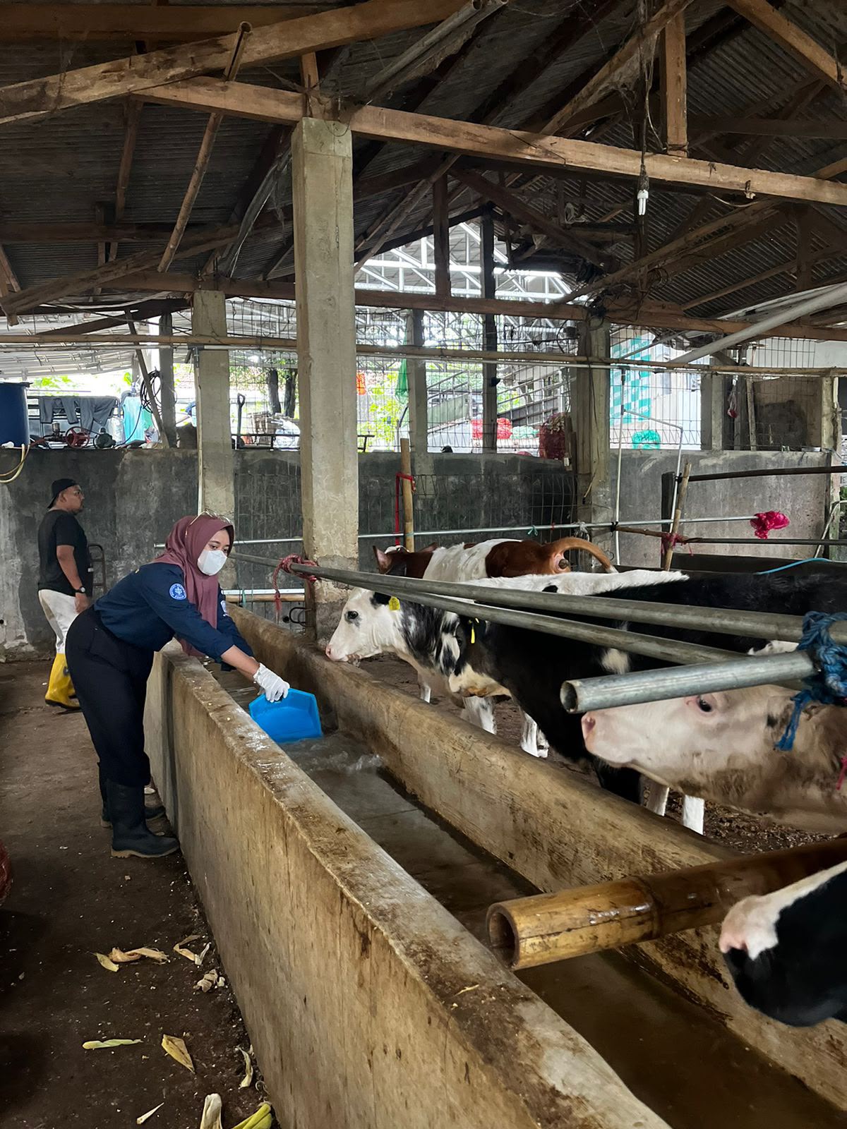 Pemantauan Lingkungan IoT